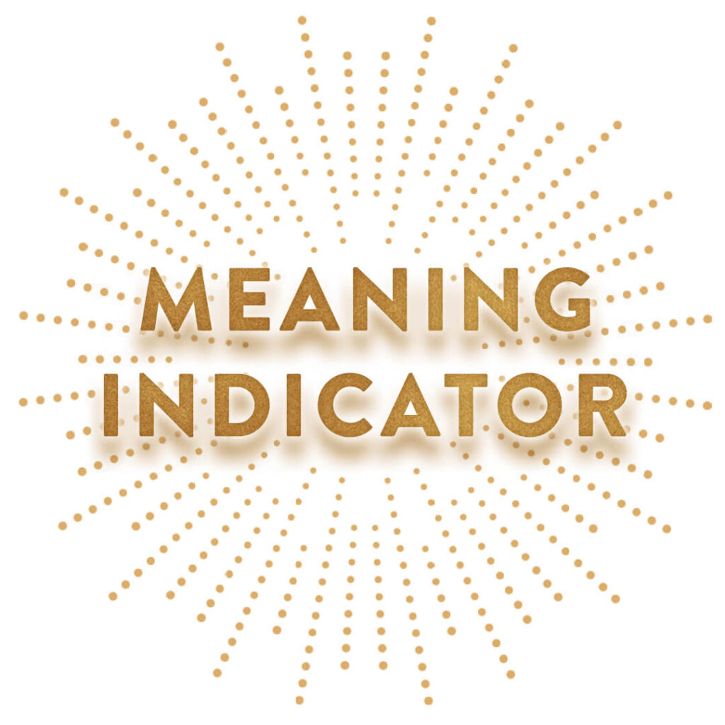 Meaning Indicator Book Graphic